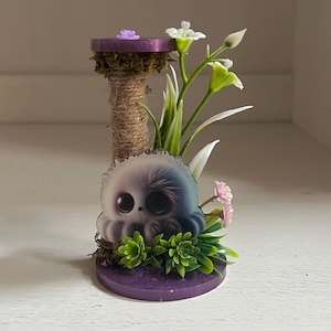 A Jumping spider enclosure play set, themed spider decor.mantis decor