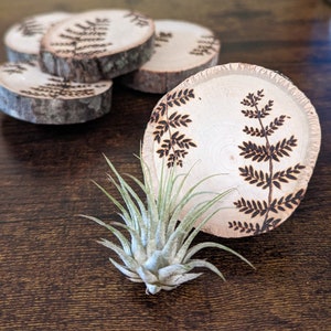Natural Cottagecore Wood Magnet - Botanical Wildflower Floral Mushroom Magnet - Bridal Wedding Reception Favor - Anniversary Gifts for Her