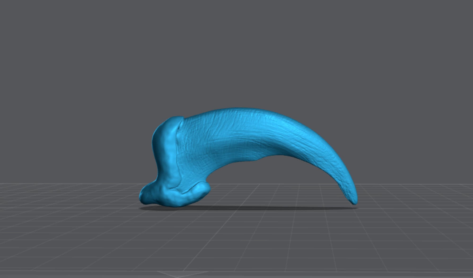 Wolf Claw STL - Etsy