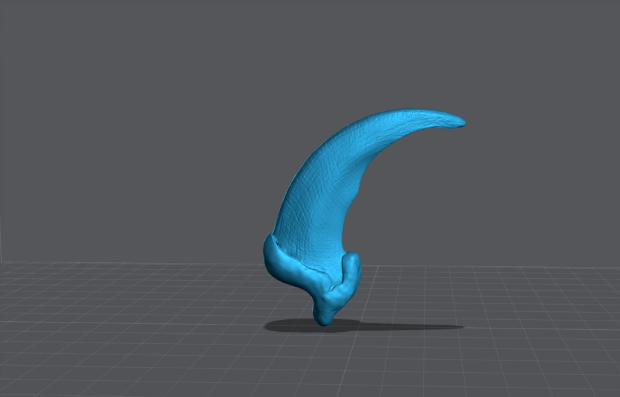 Wolfbike Claw 3d 29 - Wolf Claw STL Etsy