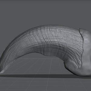 Wolf Claw STL
