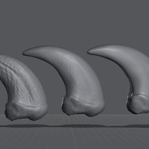 May include: Three grey dinosaur claws of varying sizes, with one claw having a textured surface.