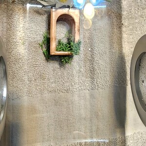 May include: A small wooden archway with a green moss plant inside. The archway is hanging from the top of a clear plastic terrarium. There are three white lights visible in the background.