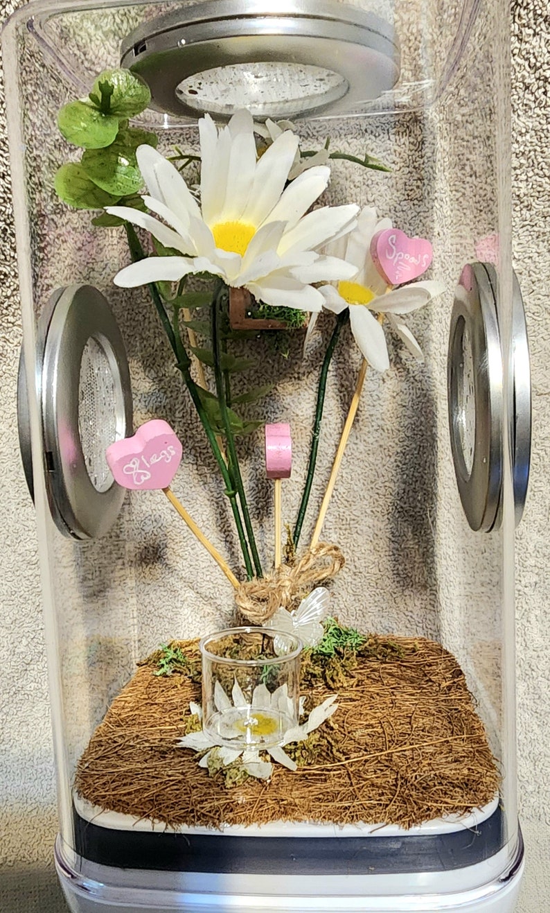 May include: A clear glass terrarium with a white base, containing a small potted plant with white flowers, a small glass jar with a white flower, and two pink wooden hearts with the words "Space" and "Hugs" written on them.