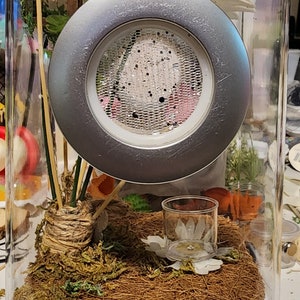 May include: A clear glass terrarium with a white base, containing a small, silver-colored speaker with a mesh grill, a pink heart, green plants, and brown moss.