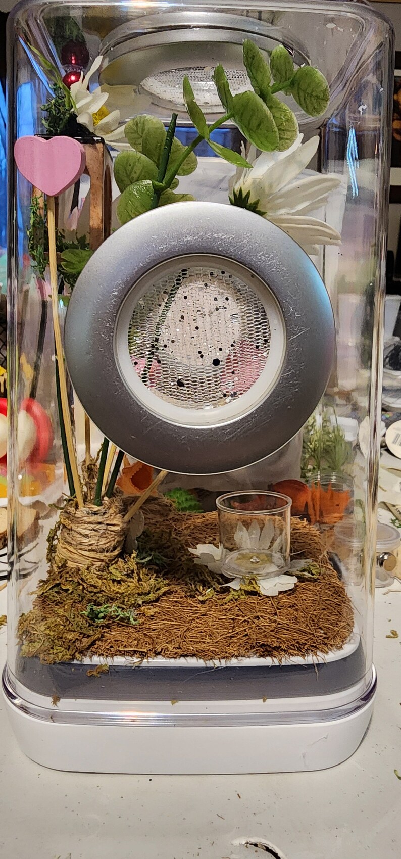 May include: A clear glass terrarium with a white base, containing a small, silver-colored speaker with a mesh grill, a pink heart, green plants, and brown moss.