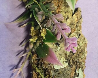 Natural Cork Decorated Wall Climber