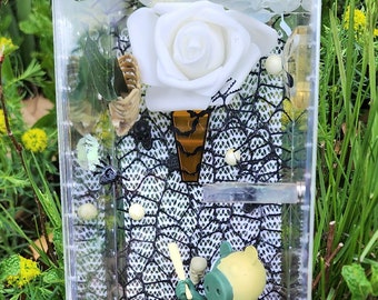 jumping spider enclosure, 8x4, decorated. "Here comes Piggy" (Roblox) Creative Spoods