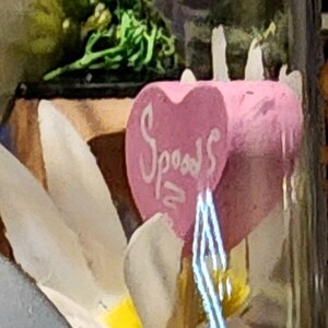 May include: A pink heart-shaped cake pop with the word "Spoons" written on it. The cake pop is on a stick and is decorated with white frosting.