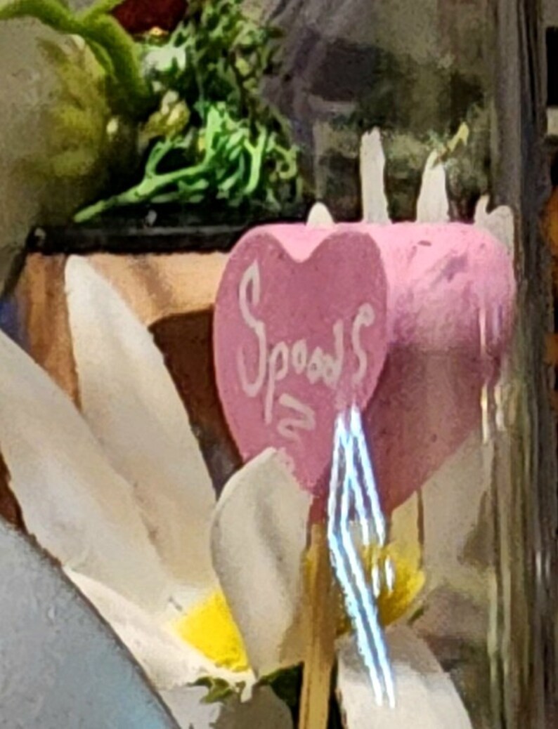May include: A pink heart-shaped cake pop with the word "Spoons" written on it. The cake pop is on a stick and is decorated with white frosting.