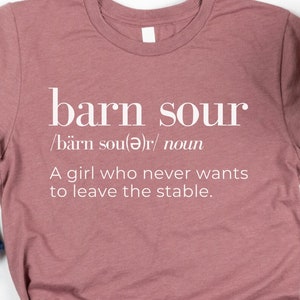 Funny Horse Shirt, Horse Rider Gift, Equestrian Gift, Funny Horse Riding Shirt, Horse Lover Shirt, Horse Lover Gift, Horseback Riding Gift