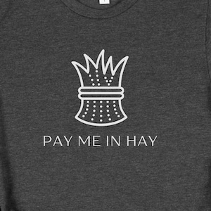 Pay Me in Hay T-Shirt, Womens Horse Shirt, Barnyard Shirt, Womens Farm Shirt, Horseback Riding Shirt, Cowgirl Shirt, Country Girl Shirt
