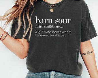 Leuk paardshirt, comfortkleuren, grappig paardshirt, T-shirt paard, shirt paardrijden, shirt paardenliefhebber, cadeau paard, shirt paardrijden, shirt paard