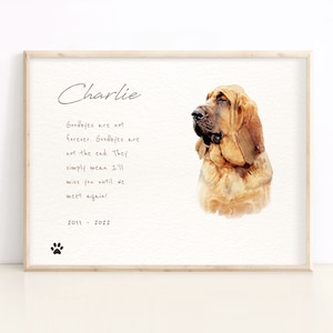 Pet Memorial Portrait: Hand Painted Illustration From Photo