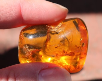 May include: A piece of amber with a small insect trapped inside. The amber is a warm, honey color and is translucent, allowing you to see the insect clearly.