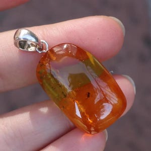 Fossil Insect Baltic Amber Pendant Oblong Honey 925 Silver Unisex