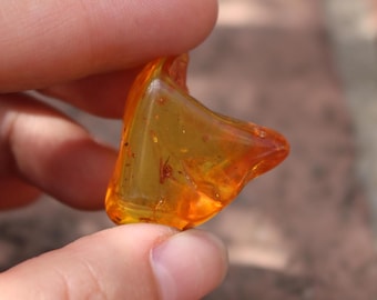 May include: A piece of amber with a small insect trapped inside. The amber is a warm, honey color and is translucent, allowing you to see the insect clearly.