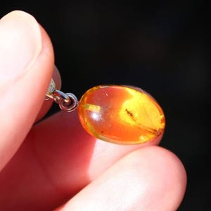 Fossil Insect Baltic Amber Pendant Oval Honey 925 Silver Unisex