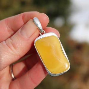 Baltic Amber Pendant Butterscotch Natural 925 Silver Unisex