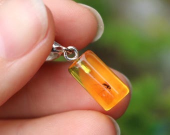 Baltic Amber Fossil Insect Pendant Yellow Cylinder 925 Silver Unisex