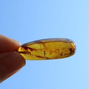 Pendentif insectes fossiles mouche ambre de la Baltique miel argent 925 unisexe