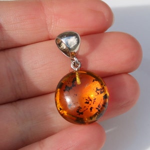 Fossil Insect Baltic Amber Pendant Round Honey 925 Silver Unisex
