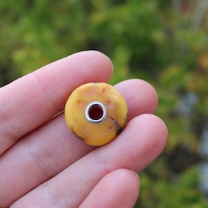 Donut Baltischer Bernstein Anhänger Charm Natürlich Unbehandelt Unisex