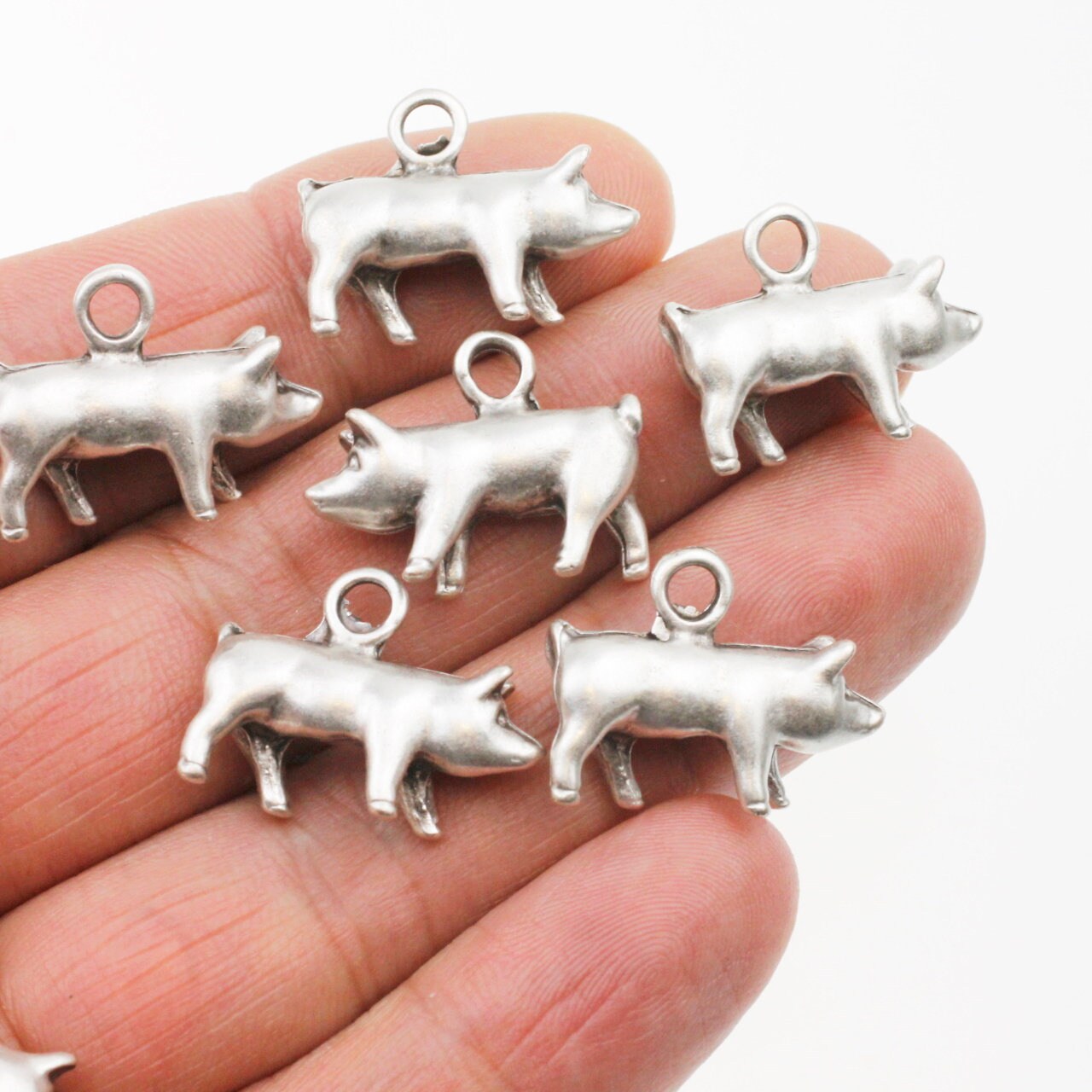 Silver pig deals charm