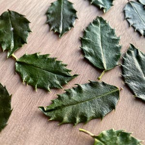 May include: Close-up of several dark green holly leaves with spiky edges, arranged on a light brown surface. The leaves have a textured appearance and are likely for decorative purposes.