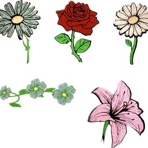 May include: A set of five flower illustrations, including a red rose, a white daisy, a blue daisy, a pink lily, and a vine of small blue flowers.