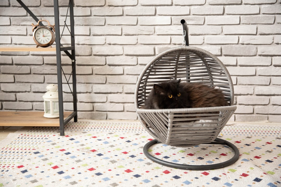 Cat Hammock Metal Swing Cat Bed Christmas Gift for Cat Etsy