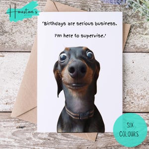 Tarjeta de cumpleaños de Dachshund / Perro salchicha / Perro salchicha / Tarjeta de cumpleaños para él / Para ella / Tarjeta linda / Tarjeta divertida / Amante de los perros / Amante de los animales