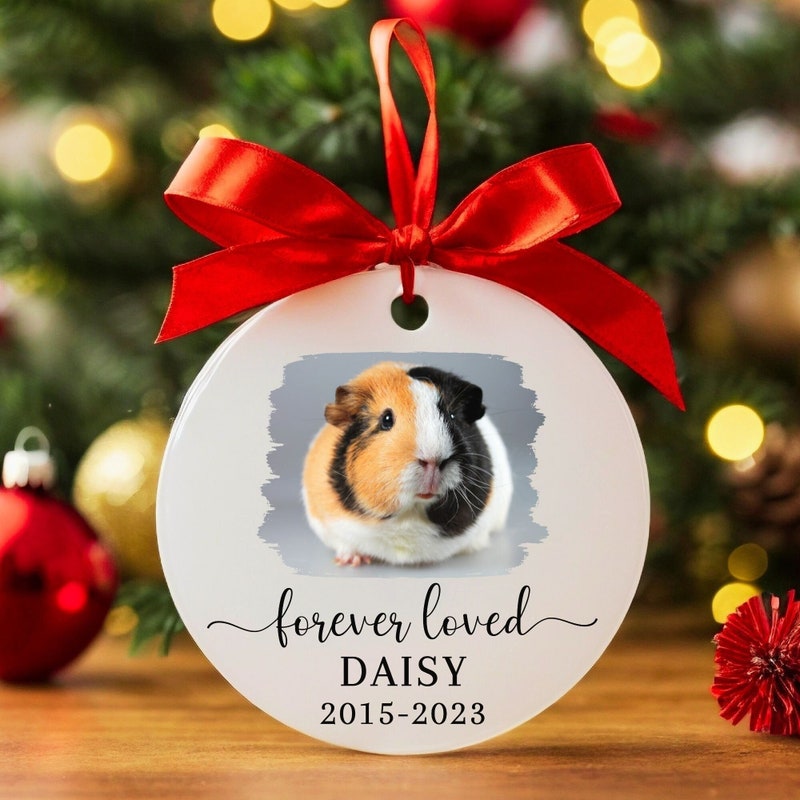 Photo inspiration: Visual Reference: Guinea Pig Gift 60 Gift Ideas For 2025