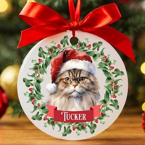 Custom Persian Cat Christmas Ornament, Personalized Persian Cat Ornament, Persian Cat Gifts, Cat Keepsake, Cat Name Ornament, Cat Owner Gift