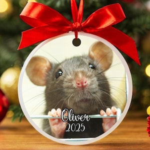 Custom Rat Ornament, Mouse Ornament, Rat Christmas Ornament, Rat Gifts, Rat Memorial Ornament, Rat Mom Gift, Rat Owner Gift, Pet Photo Gift