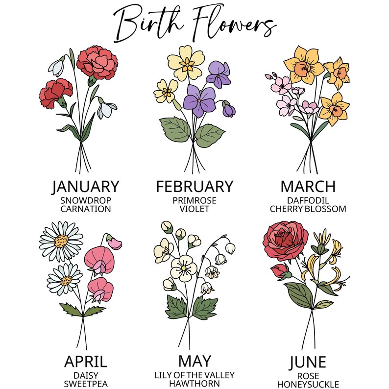 May include: A chart showing the birth flowers for each month of the year. January: Snowdrop and Carnation. February: Primrose and Violet. March: Daffodil and Cherry Blossom. April: Daisy and Sweetpea. May: Lily of the Valley and Hawthorn. June: Rose and Honeysuckle.