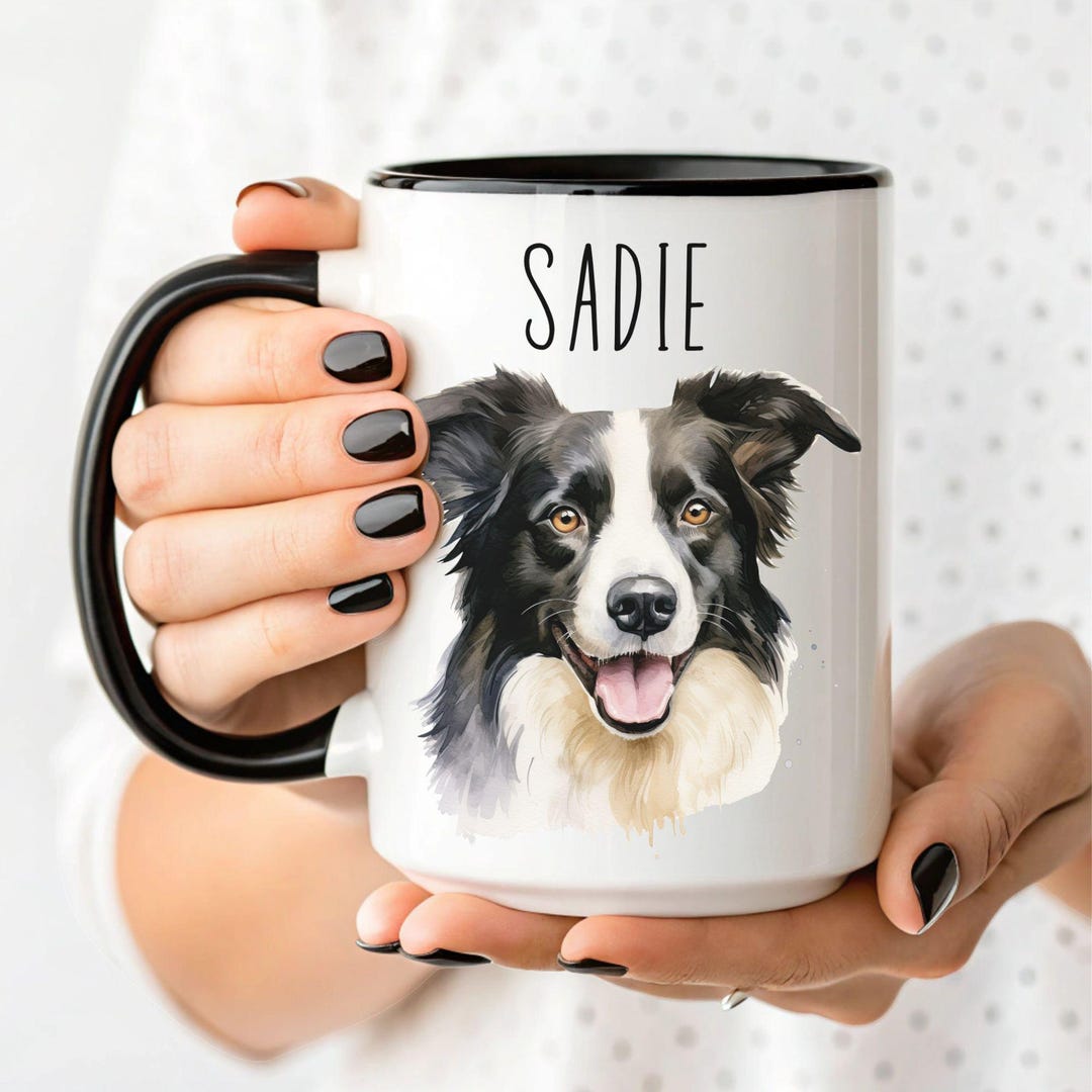 Border collie family, father, mother and puppies, sitting in front of