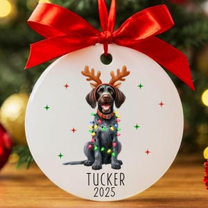 Custom German Wirehaired Pointer Christmas Ornament, Personalized German Wirehaired Pointer Ornament, Wirehaired Pointer Gifts, Dog Keepsake