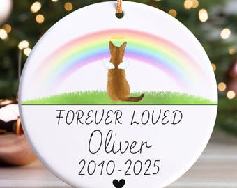 May include: A white ceramic Christmas ornament with a brown cat illustration wearing a halo and wings, set against a rainbow and green grass. The text "FOREVER LOVED Oliver 2010-2025" is displayed below a black heart.