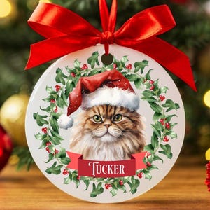 Custom Persian Cat Christmas Ornament, Personalized Persian Cat Ornament, Persian Cat Gifts, Cat Keepsake, Cat Name Ornament, Cat Owner Gift