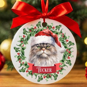 Custom Persian Cat Christmas Ornament, Personalized Persian Cat Ornament, Persian Cat Gifts, Cat Keepsake, Cat Name Ornament, Cat Owner Gift