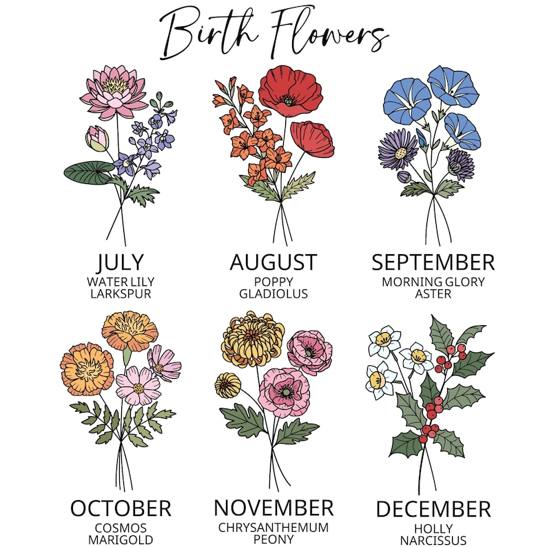 May include: A chart showing the birth flowers for each month of the year. The flowers are illustrated in a vintage style. July: Water Lily and Larkspur. August: Poppy and Gladiolus. September: Morning Glory and Aster. October: Cosmos and Marigold. November: Chrysanthemum and Peony. December: Holly and Narcissus.