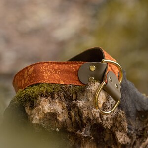 Floral Dog Slip Collar: Biothane Accent, Lightweight Polypropylene "AKIE"