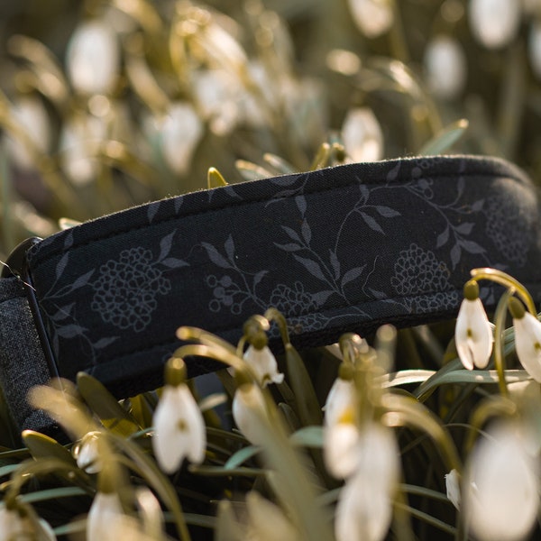 Floral Dog Collar | Botanical Martingale Collar | Gothic Floral Collar for Dogs | "MORANA"