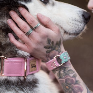 Bff dog sale collar