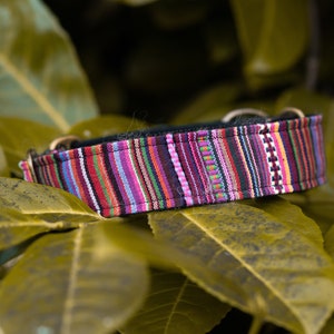 Aztec Dog Collar | Mexican Pet Collar | Boho Wide Martingale Collar for Dogs | &quot;KAPILA&quot;