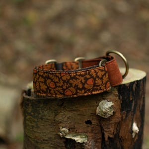 Op de afbeelding: Een hondenhalsband met een bruin en oranje eikel- en bladerenpatroon. De halsband heeft een messing ring en gesp, en een bruine suède patch. De halsband ligt op een boomstronk.