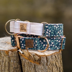 Floral Dog Collar | Botanical Pet Collar | Flowery Wide Martingale Collar for Dogs | "HANA"