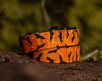 Halloween Dog Collar: Bats & Polka Dots Martingale Collar "MYSKIA"