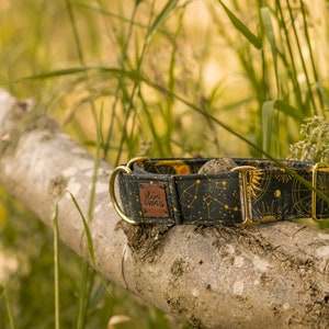 May include: A black and gold dog collar with a celestial pattern and gold hardware. The collar has a brown leather tag with the text "The Glamorous" on it.